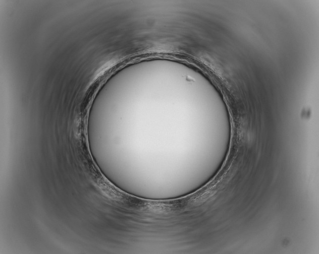 X0000097611258200803071442