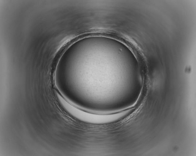 X0000097611259200803071442