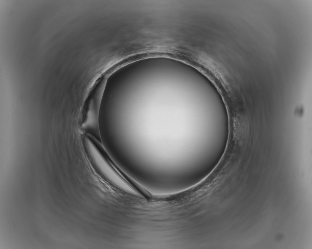 X0000097611260200803071442