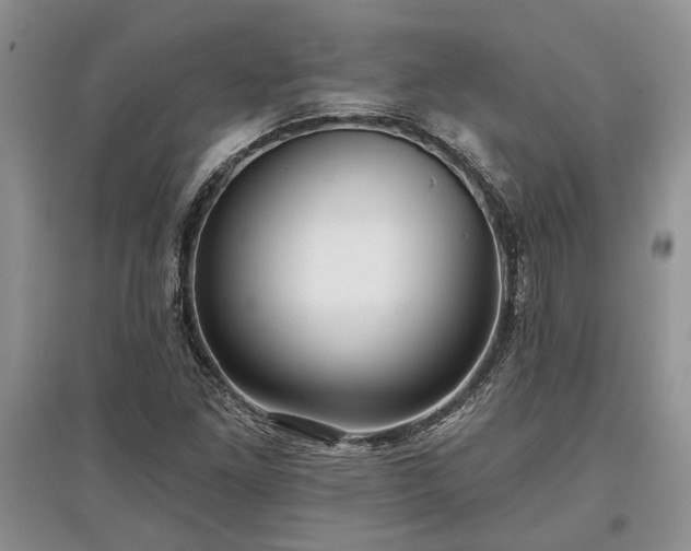 X0000097611261200803071442