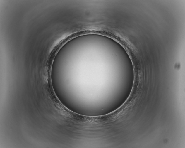 X0000097611262200803071442