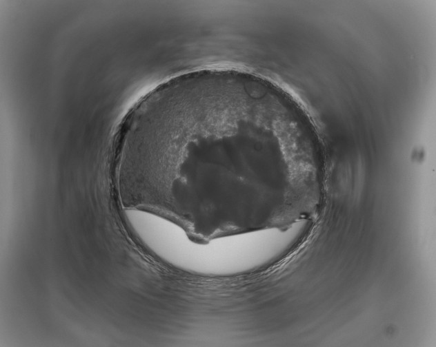 X0000097611263200803071442