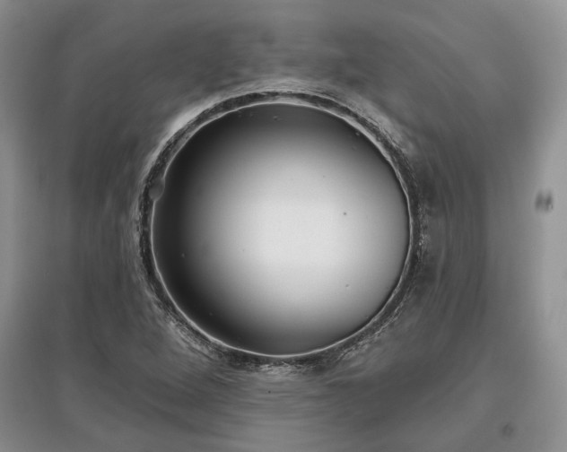 X0000097611264200803071442
