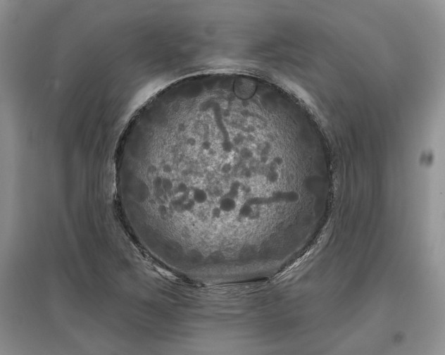 X0000097611267200803071442