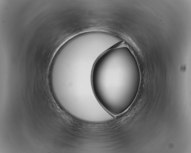X0000097611268200803071442