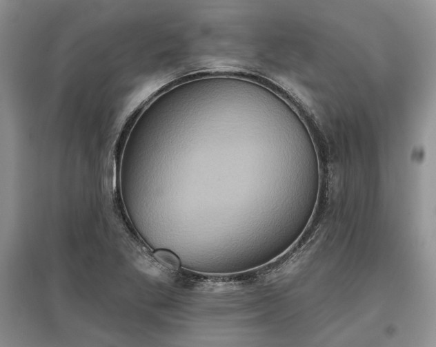 X0000097611269200803071442