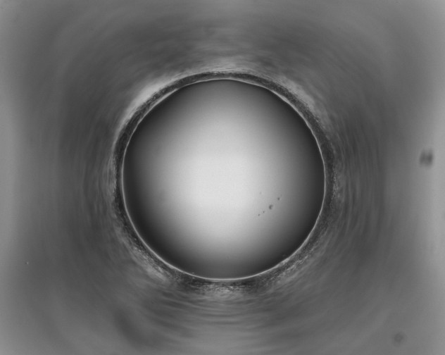 X0000097611270200803071442