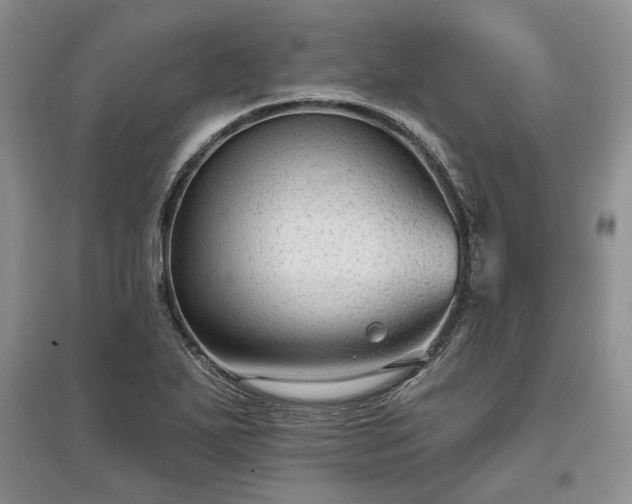 X0000097611271200803071442