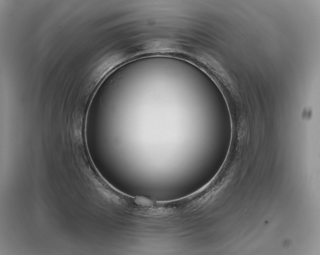 X0000097611273200803071442