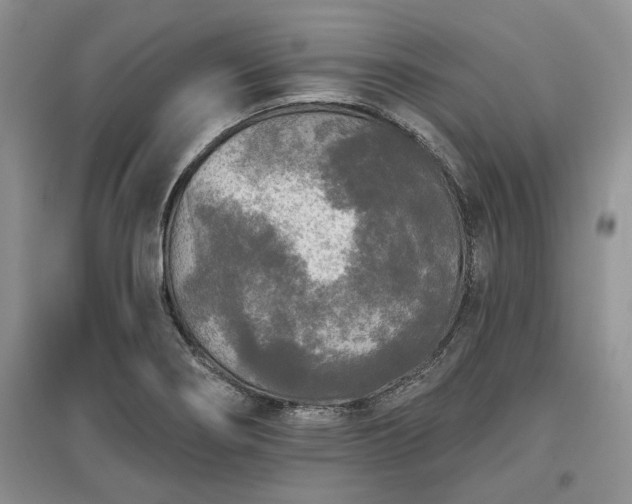 X0000097611274200803071442