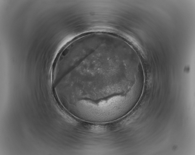 X0000097611275200803071442