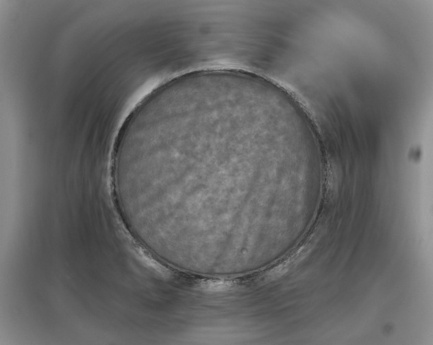 X0000097611278200803071442