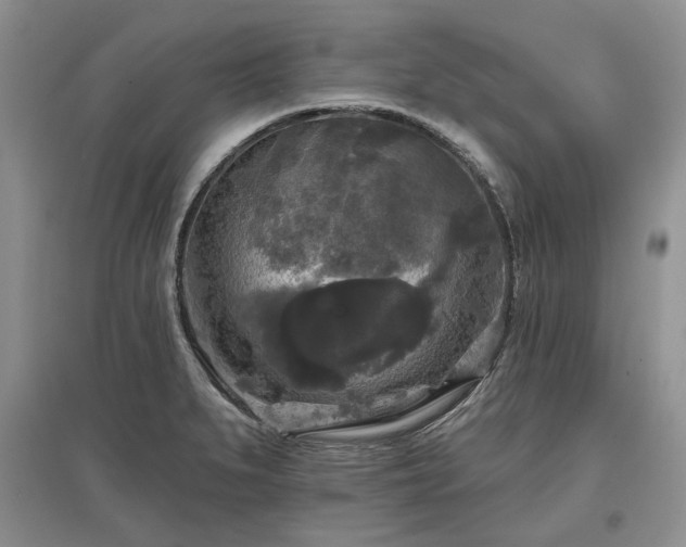 X0000097611279200803071442