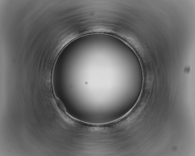 X0000097611281200803071442