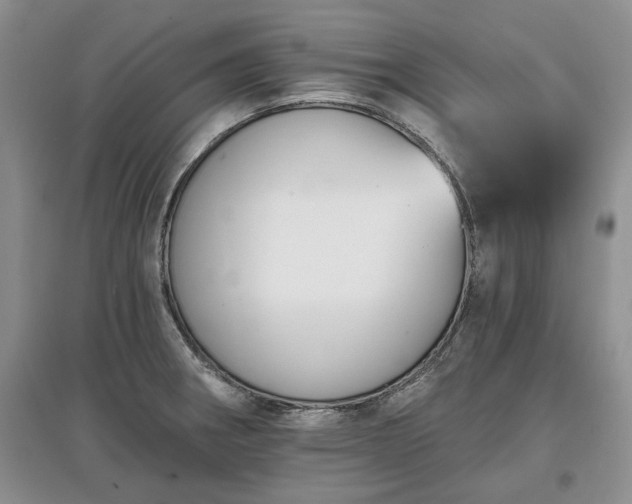 X0000097611282200803071442