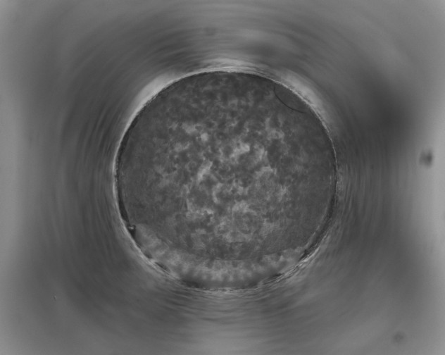 X0000097611283200803071442