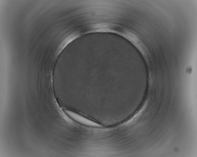 X0000097611289200803071442