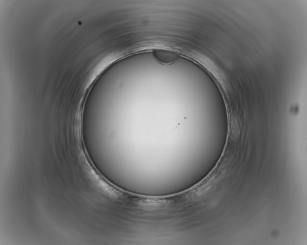 X0000097611290200803071442