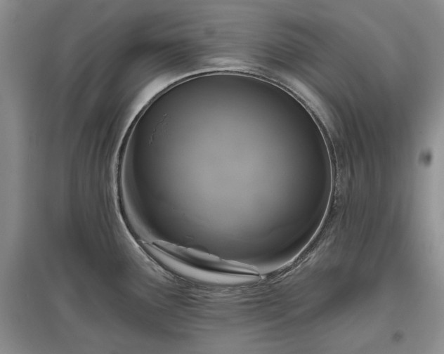 X0000097611291200803071442