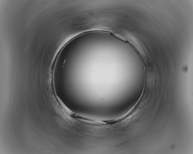 X0000097611292200803071442