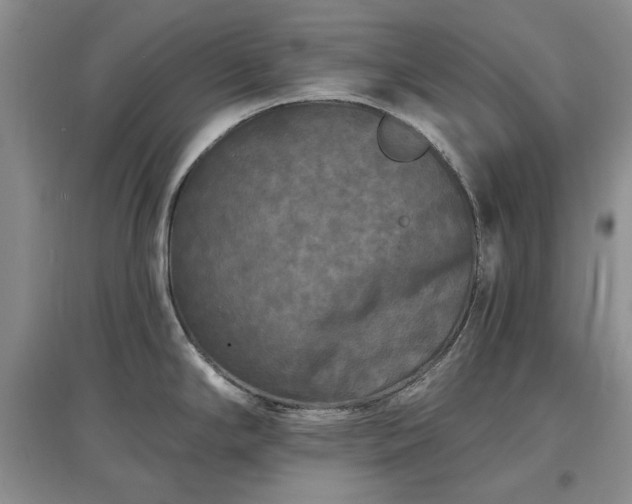 X0000097611294200803071442