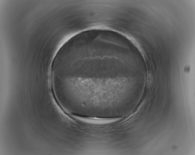 X0000097611295200803071442