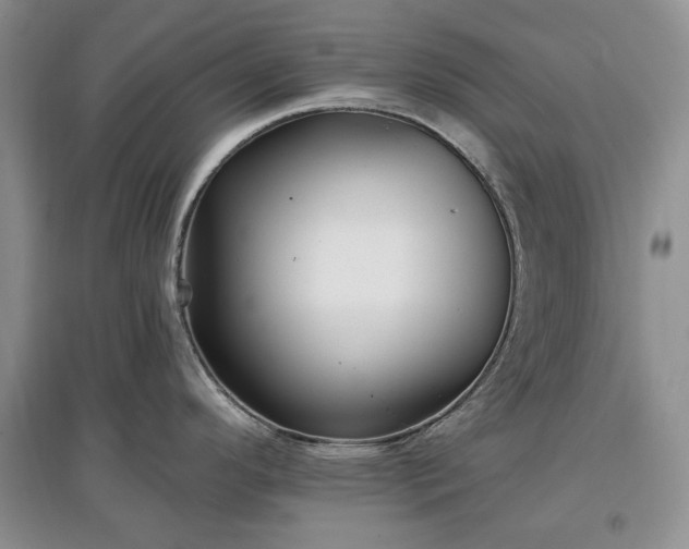 X0000097611296200803071442