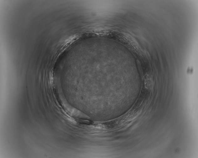 X0000097611298200803071441