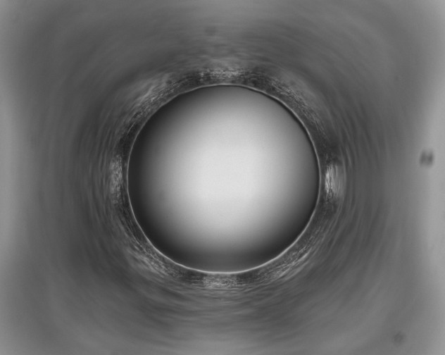X0000097611299200803071441