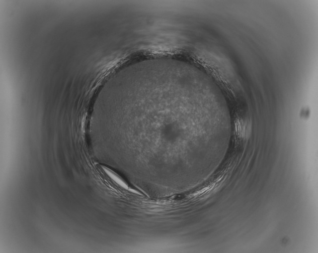X0000097611300200803071441