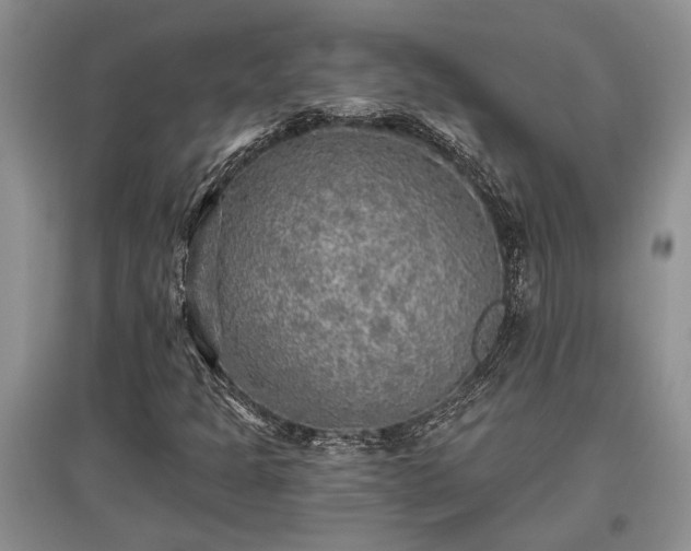 X0000097611301200803071441
