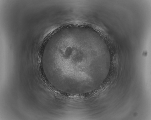 X0000097611302200803071441