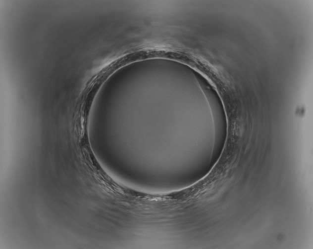X0000097611303200803071441