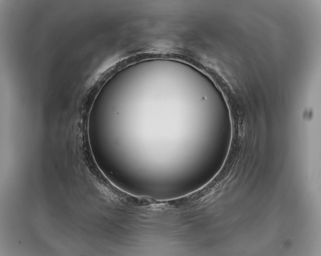 X0000097611304200803071441