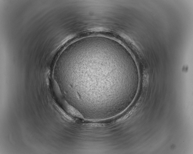 X0000097611305200803071441