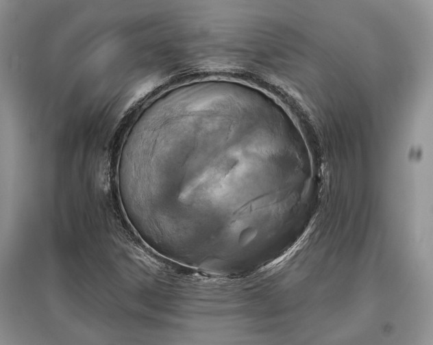 X0000097611306200803071441