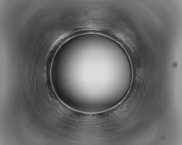 X0000097611307200803071441