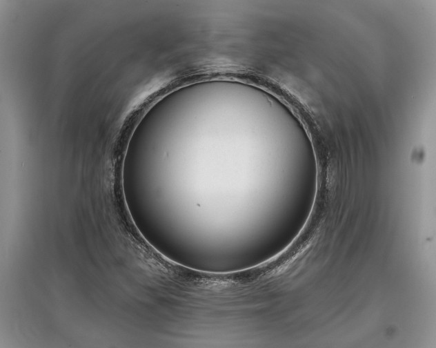 X0000097611309200803071441