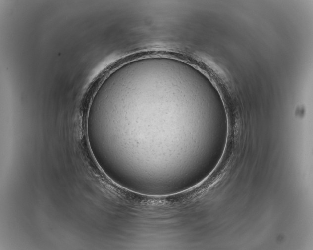 X0000097611310200803071441