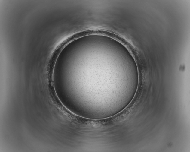 X0000097611311200803071441