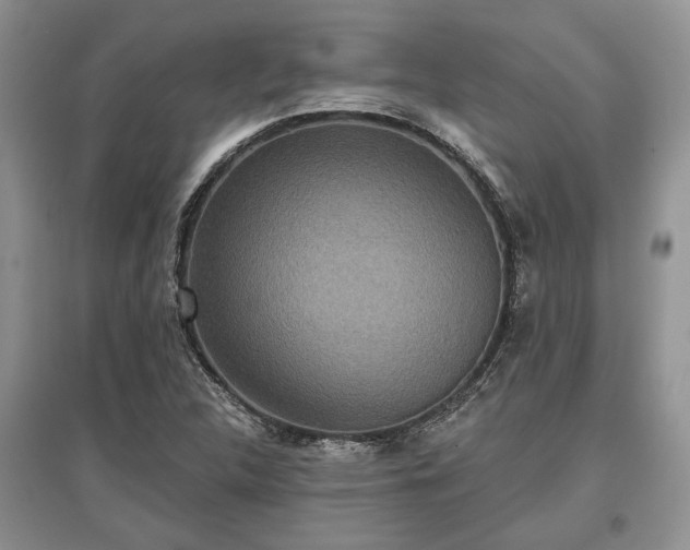X0000097611312200803071441