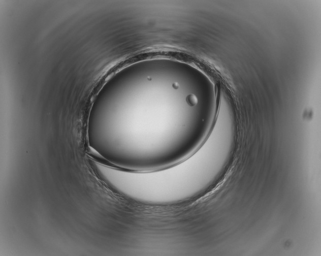 X0000097611313200803071441