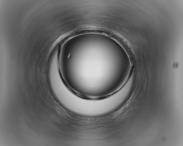 X0000097611314200803071441