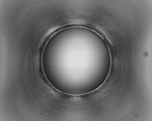 X0000097611315200803071441