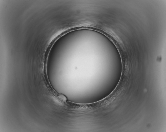 X0000097611316200803071441