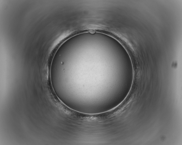 X0000097611317200803071441