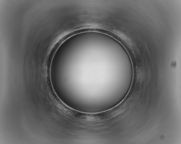 X0000097611318200803071441