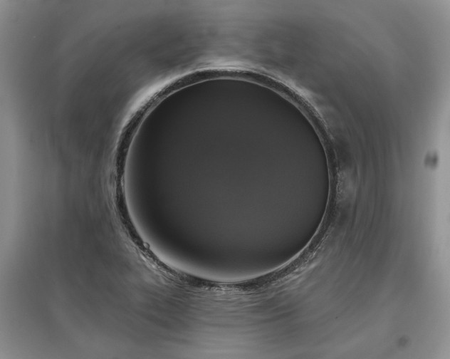 X0000097611319200803071441