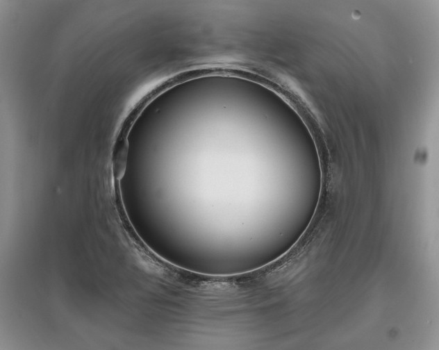 X0000097611320200803071441