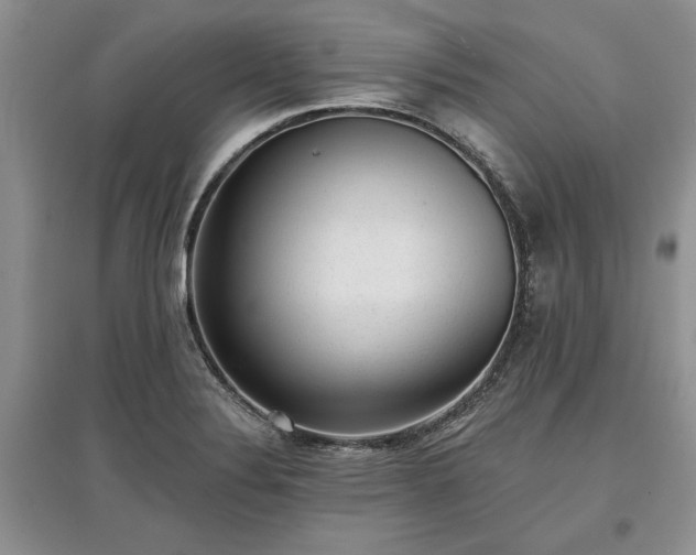 X0000097611324200803071441